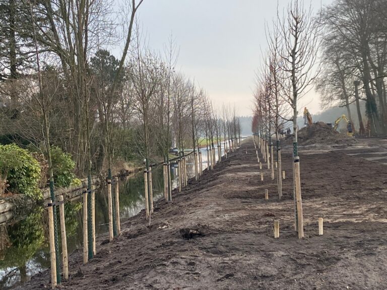 Green returns to the garden of Buitenplaats Trompenburgh